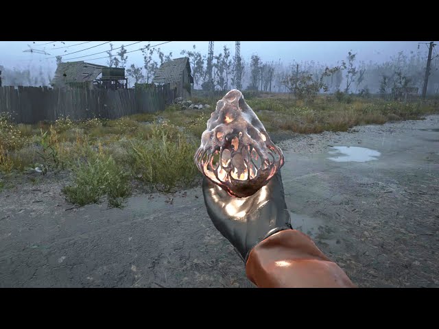 S.T.A.L.K.E.R. 2: Heart of Chornobyl Playthrough Gameplay Part 49 - No Commentary (PC)