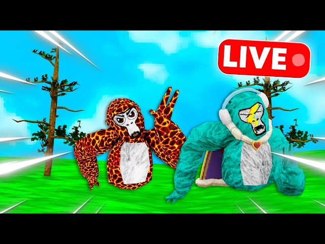 Gorilla Tag Live With Viewers!