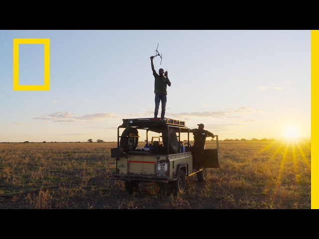 Inside Africa Earth's Wild Home | Africa Earth's Wild Home | National Geographic