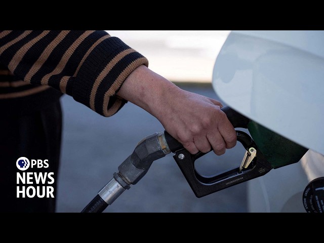 Economist breaks down new inflation report and what's driving prices higher