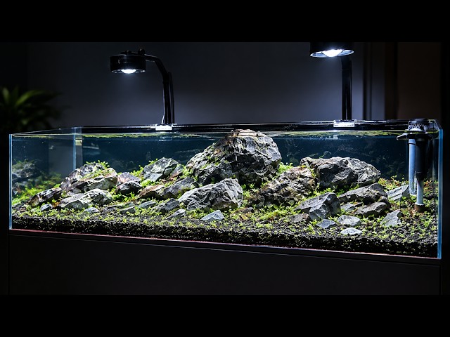 $1,500 Fish Store Scape vs $0 Wild River Stones! DIY 150cm Stream Biotope Setup