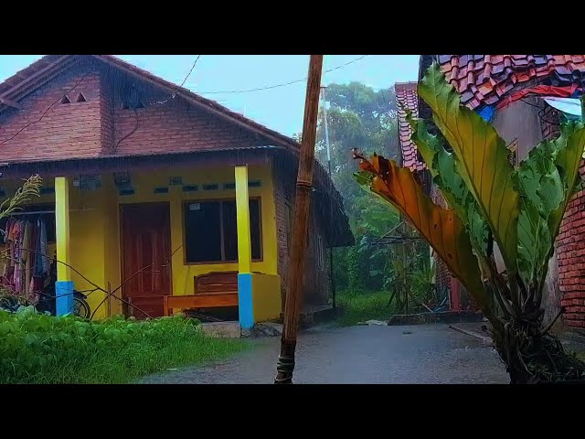 Heavy Rain for Sleep and Relaxation – 10 Hours Rain Sounds