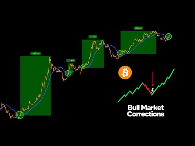 Historical Signal Predicts Every Bitcoin Rally… (Get Ready)