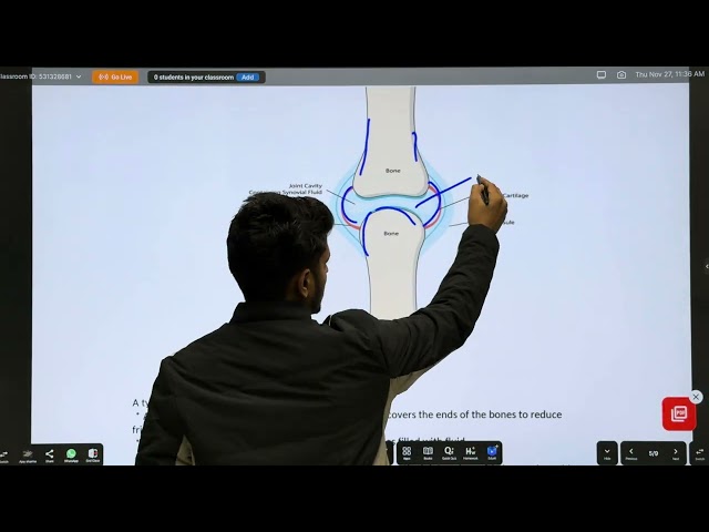 Human Anatomy & Physiology Theory D pharmacy 1st year Solved Guess Paper