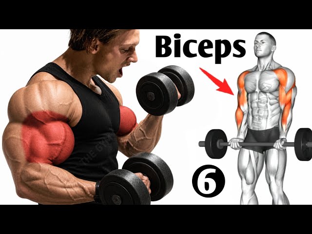 6 Biceps Exercises for Bigger, Thicker & Stronger Arms