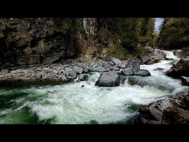 🌲 Forest Waterfall Sounds for Study | Peaceful Background Noise | 1 Hour