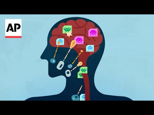 What happens when your immune system hijacks your brain
