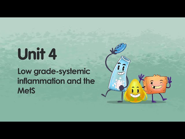 Low grade-systemic inflammation and the MetS | iMooX.at