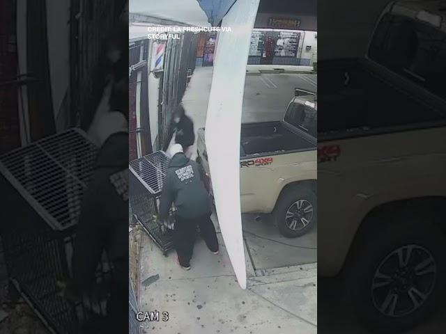 Burglars Raid Barbershop, Kidnap Beloved Store Cat: LASD