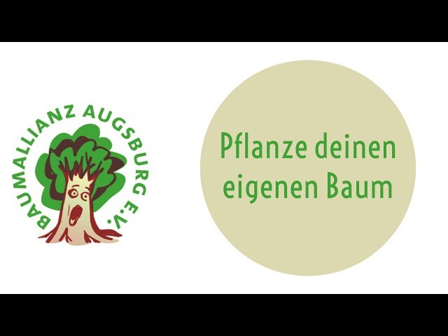 So pflanzt du deinen eigenen Baum - Erklärvideo
