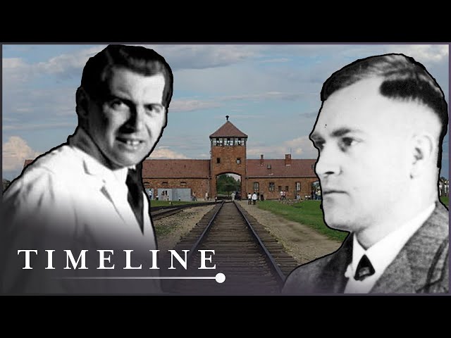 The Horrific Truth Behind Nazi Doctor's Evil Experiments| Destruction | Timeline