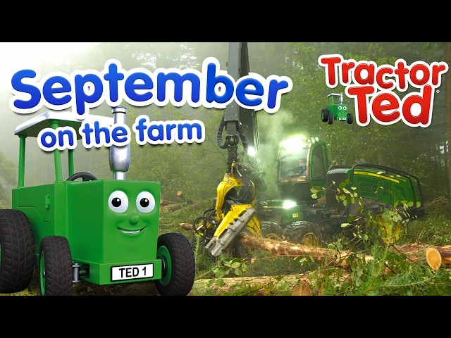 September on the Farm | Tractor Ted Official 🚜