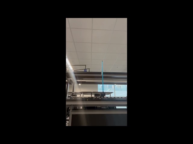 Inverted Pendulum