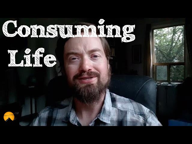 Consuming life: The consumer mindset