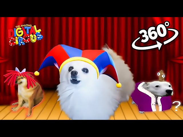 The Amazing Digital Circus Dog Version | 360º VR
