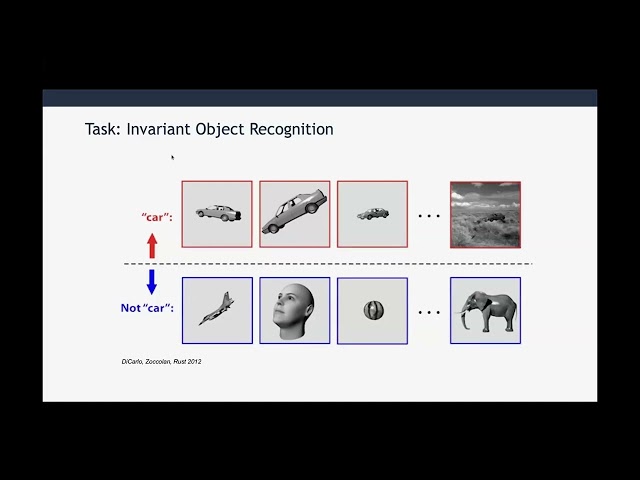 SueYeon Chung | Computing with Neural Manifolds