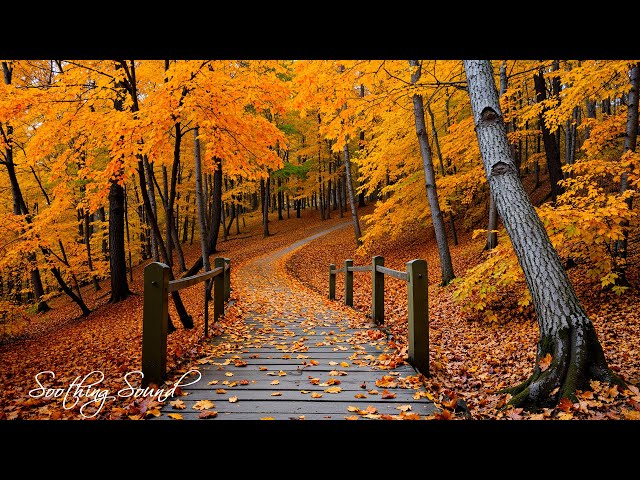 Beautiful Relaxing Music 🍁 Stop Overthinking, Stress Relief Music With Autumn Melodie