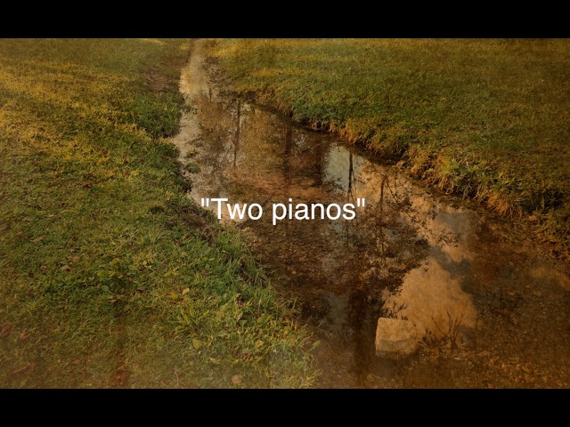 2 pianos,Hubert Waldner