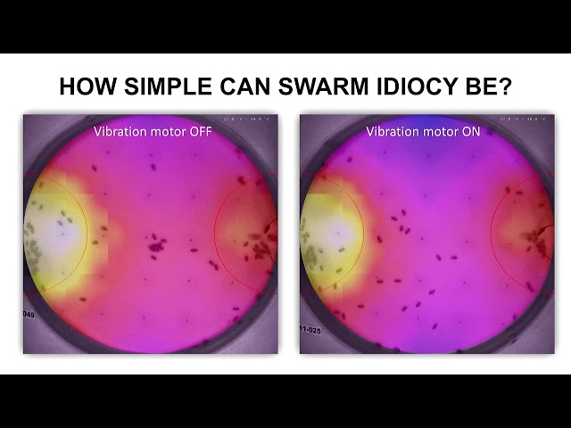 Mathematical Modeling of Collective Deception and the Emergence of Fundamentalism