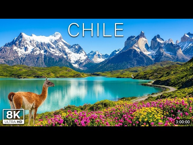 Beautiful Chile 8K - Torres del Paine, Andes Mountains, Atacama & Calming Music for Deep Sleep