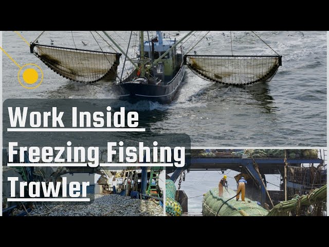 How Freezing Fishing Trawler work I Fishing and processing on Freezing trawlers