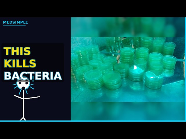 Your Body's Hidden Bacterial War Machine