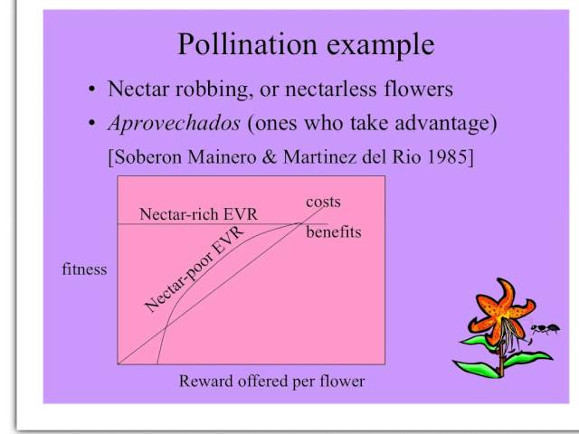 Modeling Mutualism