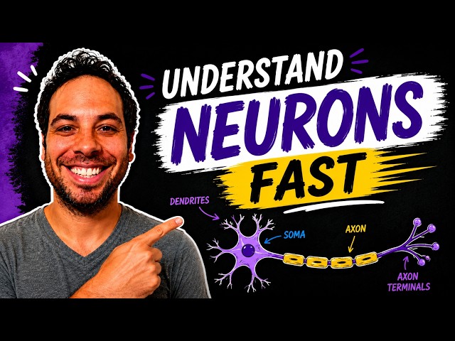 Inside a Neuron: The Parts That Power Your Brain (2026 UPDATE)