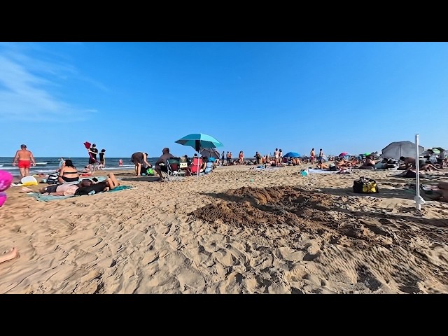 🗺 YOUR NEW AVATAR: BECOME A PART OF THE LIVING SPANISH SHORELINE RIGHT NOW