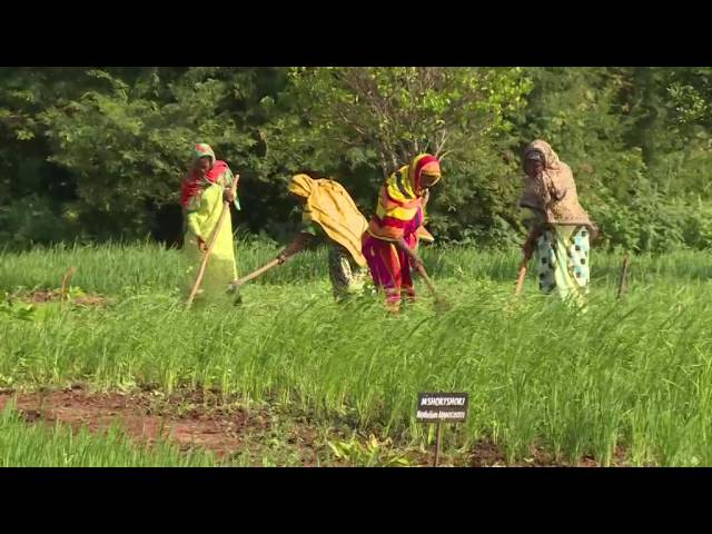 Science with Impact: Sustainable Development through Nuclear Technology