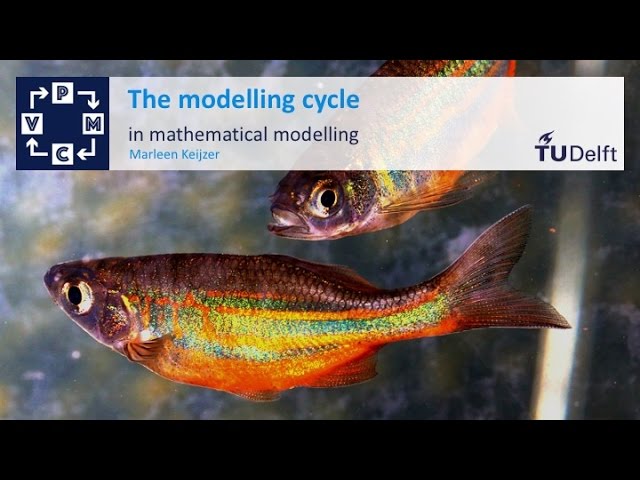 Modelling cycle in mathematical modelling - Mathematical Modelling - Mathematics - TU Delft