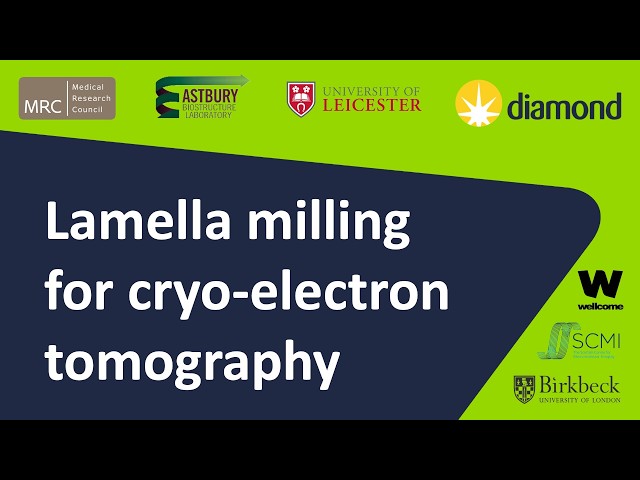 Lecture 12: Lamella milling for cryo-electron tomography - James Gilchrist (eBIC)