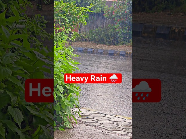 Heavy Rain Sounds for Sleeping in 4K 60fps 🌧️ Relaxing Rain ASMR