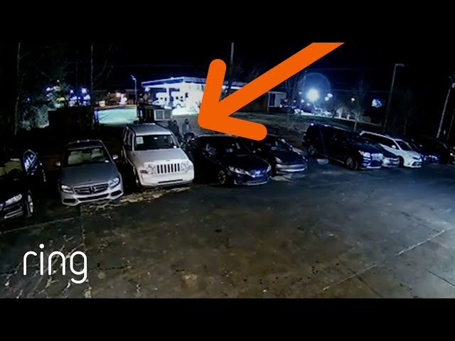 See Virtual Security Guard in Action! | RingTV