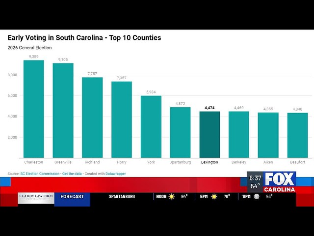 Record-breaking turnout for early voting in SC