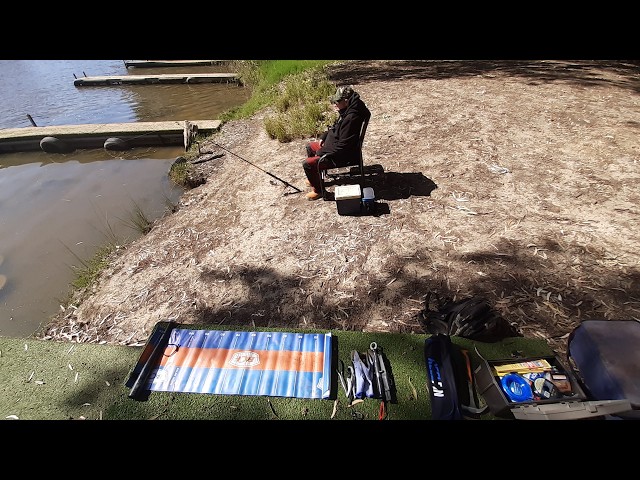 Fishing in the MURRAY RIVER at torrumbarry#fishing this is GOLD 