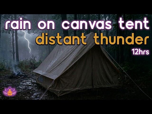 [Black Screen] Cozy Tent Storm | Rain on Canvas Tent + Distant Thunder | Sleep Rain Sounds
