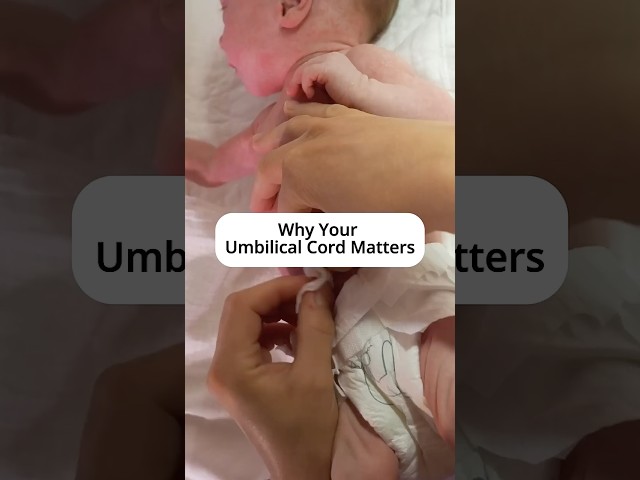 Why Your Umbilical Cord Matters! #FascialManeuvers #Birth #Umbilicalcord