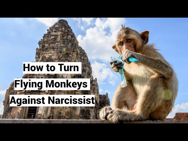 Smear Campaign: Turn Narcissist's Flying Monkeys Against Him/Her