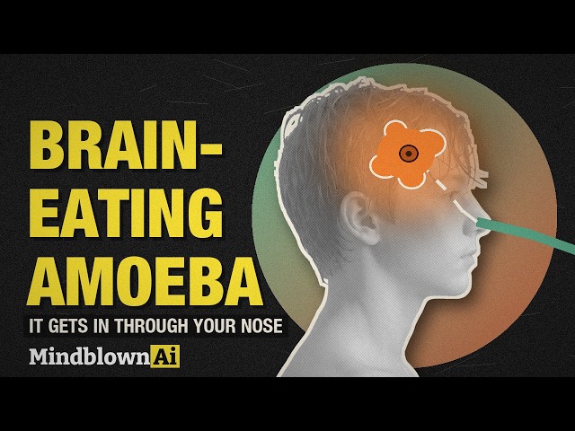 Drink It or Jump In? Only One Can Kill You (Brain-Eating Amoeba)