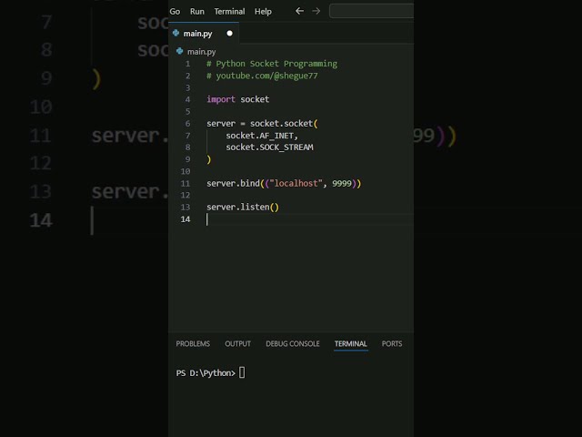 Python Sockets in Under a Minute! 👀