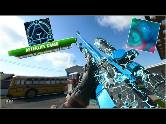 LR762 Afterlife  |  12/33 Afterlife  |  Black Ops 6 Zombies