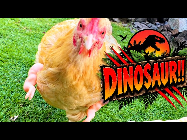 RUN!! Goosey, the RAPTOR, is chasing you!!