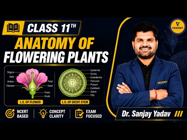 Anatomy of Flowering Plants | Class 11 Biology | Lecture 8 | Dr Sanjay Sir | NEET | CUET-UG |