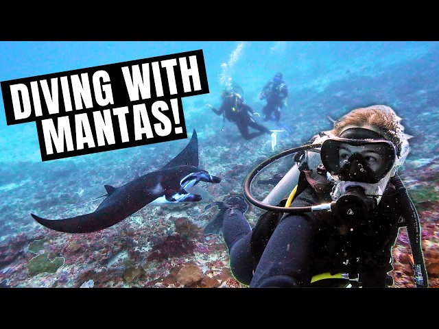 We Finally Saw Manta Rays in Nusa Penida