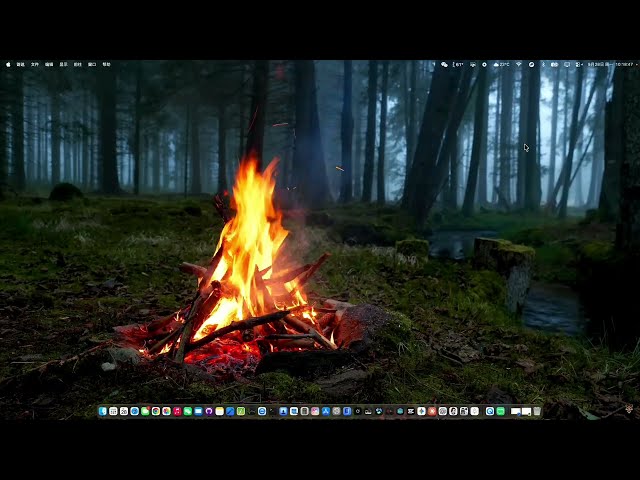Bonfire,New arrivals daily  App Dynamic Wallpaper Library