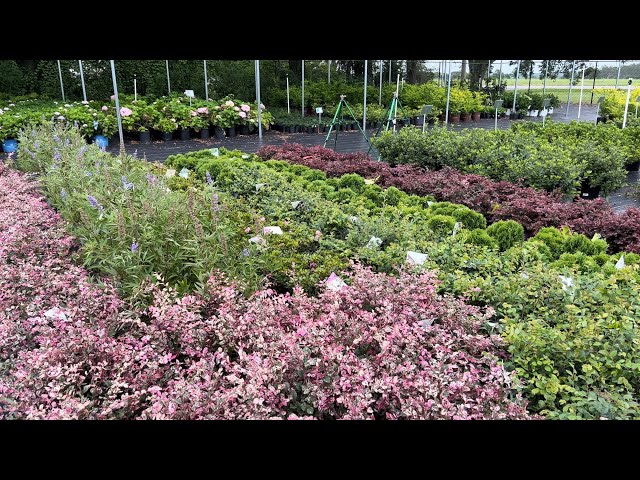 Unloading a bunch of new plants at the nursery!!!