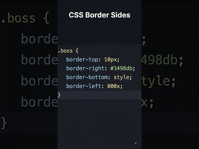 CSS Border Side 📐 | Learn Border-Top, Border-Right, Border-Bottom & Border-Left! 💻🔥 #CSS #Coding