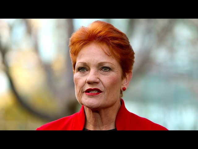‘All about One Nation’: Mike Newman says party is the ‘talk of parliament’