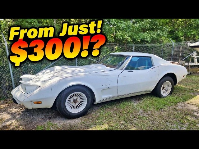 $300–$3.5K!? | 15 Classic Project Cars with Huge Potential!